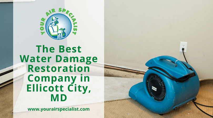 Water Damage Restoration Company in Washington DC, Water Cleanup, Removal -  Restoration Doctor